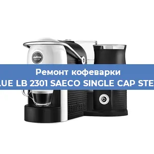 Чистка кофемашины Lavazza BLUE LB 2301 SAECO SINGLE CAP STEAM 100806 от кофейных масел в Перми
